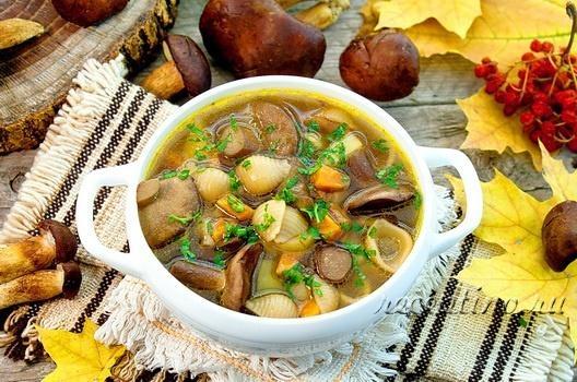 грибной суп с картофелем и макаронными изделиями