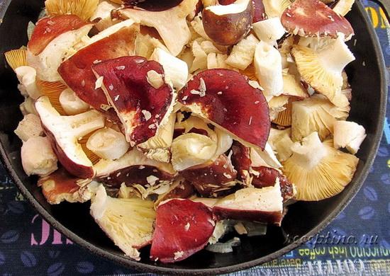 Кладут сыроежки. ш-4