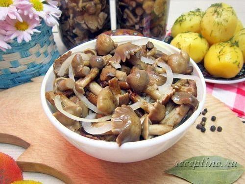 Маринованные грибы опята на зиму - рецепт с фото